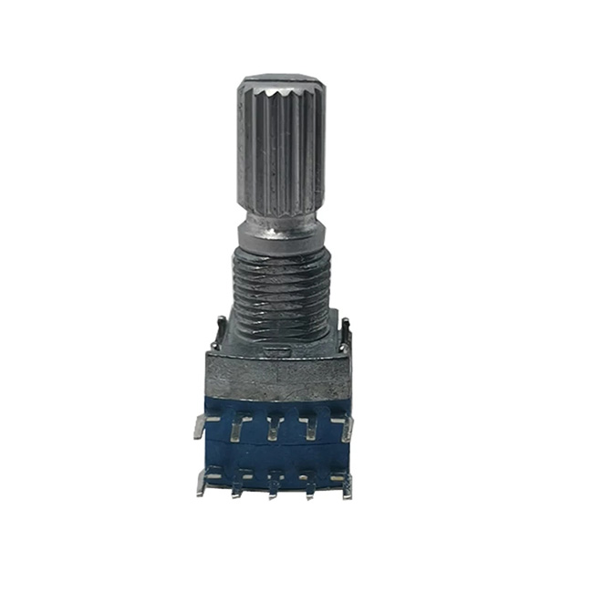 RS1010 Rotary Switch